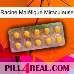 Racine Maléfique Miraculeuse new11